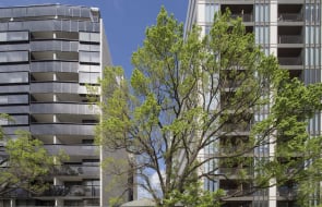 Developer could make $300,000 windfall on undeveloped North Melbourne site in nine months