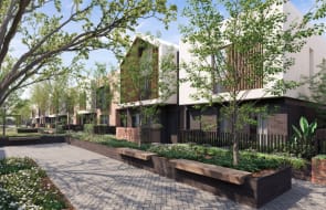 Why Cedar Woods is attracting all buyers for their townhomes in Subiaco