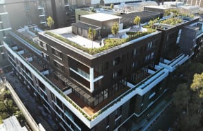 Architectus-designed NewLife Darling Harbour celebrates grand opening