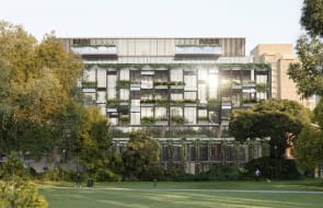 The Hanging Gardens of South Yarra