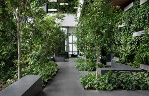Beulah's Paragon is now complete: Take a look at landscape architect Paul Bangay's stunning urban forest within the new Melbourne tower