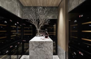 What exclusive amenities are available to High Rise buyers at Melbourne's Queens Place