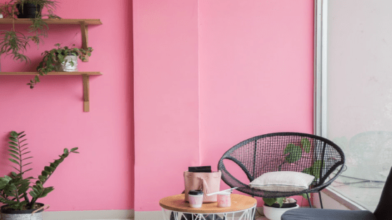 10 Benefits of Having Plants in the House