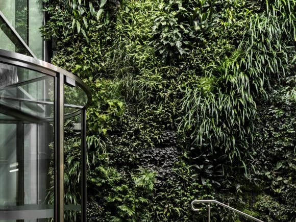 Image supplied Beyond the hyperbole - what really sets Prima Pearl apart