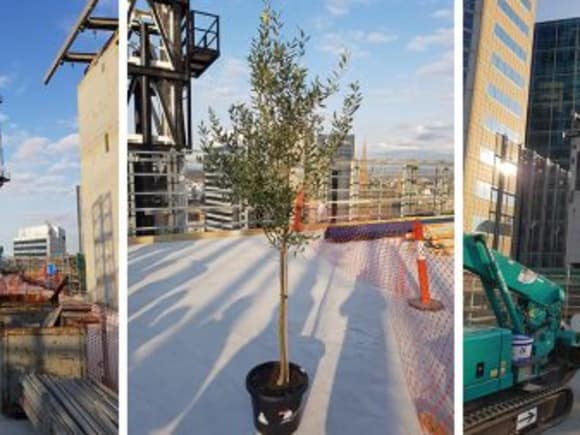 Photos taken by Urban.com.au during the topping out ceremony at 271 Spring Street. Probuild tops out at 271 Spring Street