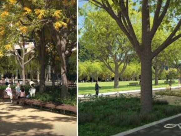 Enhanced green spaces for University Square University Square goes ultra green