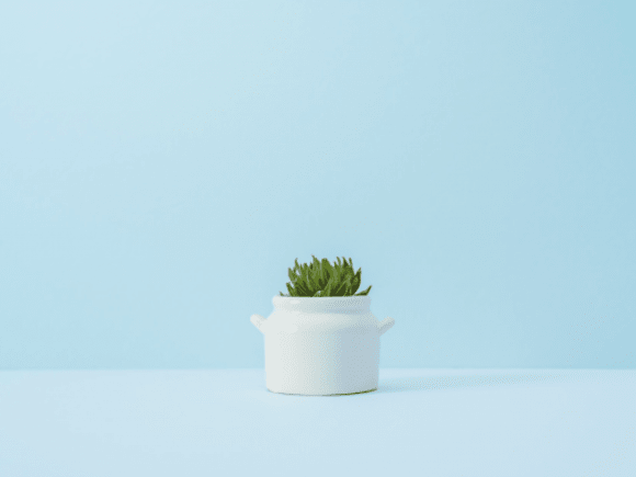 A look at 2019's top interior decor trends