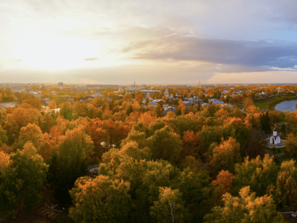 Experts comment on a strategy to green our cities before it's too late