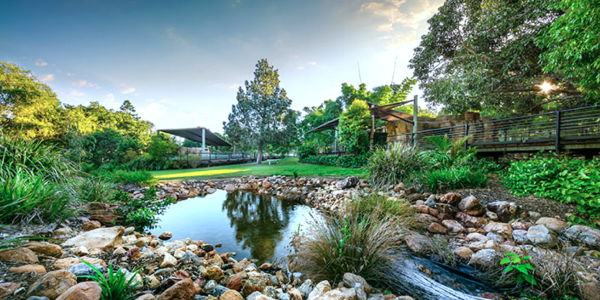 Suburb Property Profile: Ipswich, QLD 4305