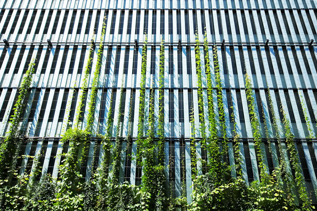 Image © tensile.com.au