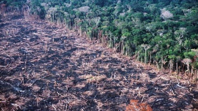 Development banks threaten to unleash an infrastructure tsunami on the environment