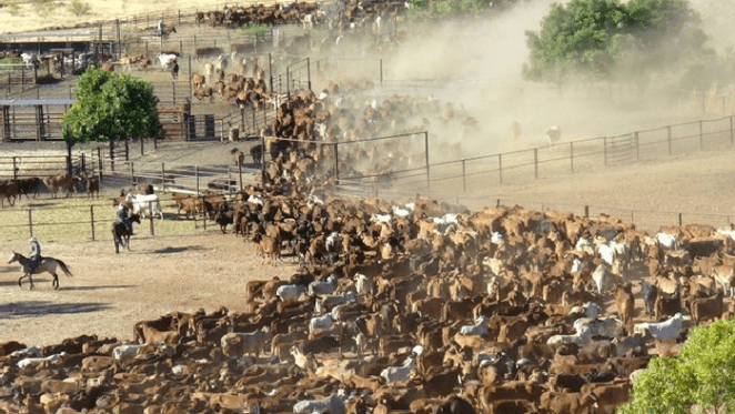Rural purchasing confidence starting to surge