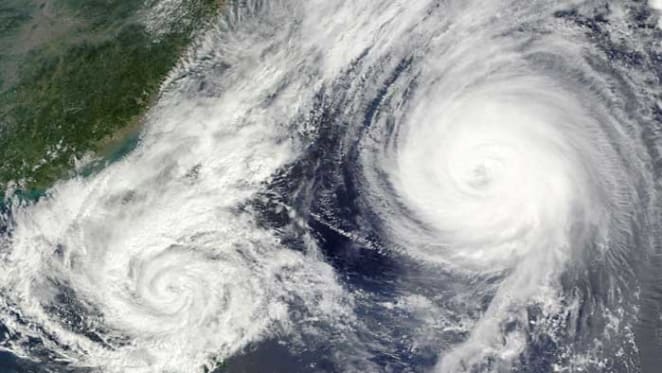 How insurers can get better at responding to natural disasters: Tayanah O'Donnell