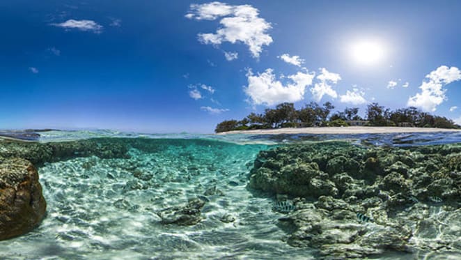 Changes to Australia’s marine reserves leave our oceans unprotected