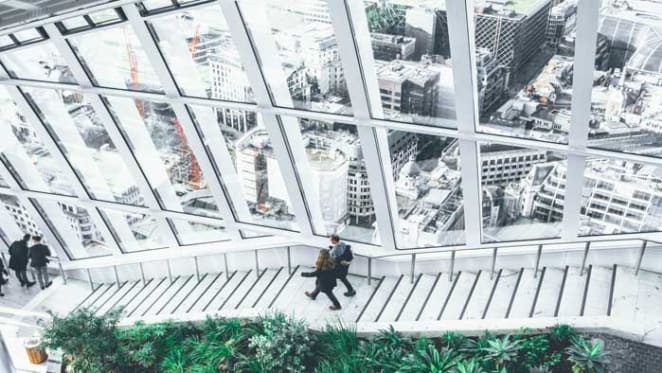 Where there’s nature, there’s well-being and productivity in the workplace