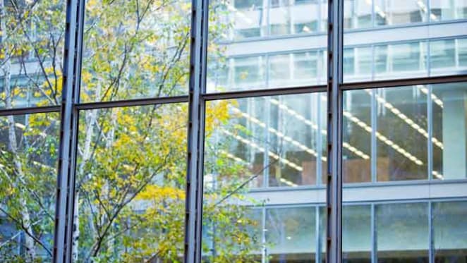 Energy efficiency in the mid-tier market: should we be dangling the carrot or brandishing the stick?