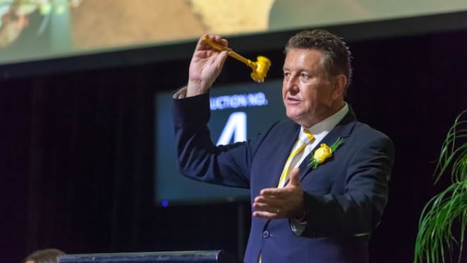 Ray White Surfers see energetic auction bidding at The Event 2019