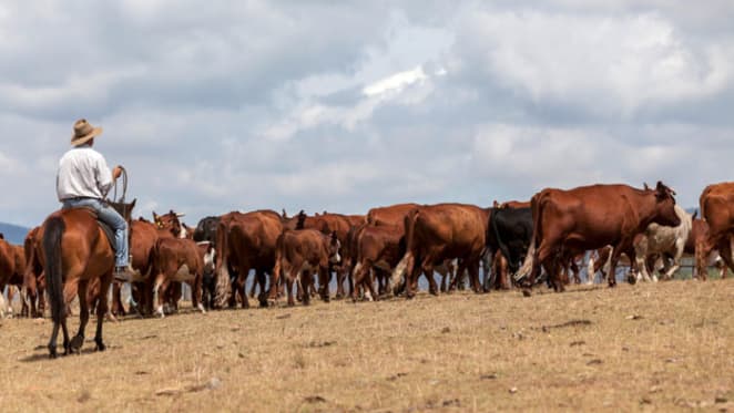 Kidman’s sale marks second wave of South Australian colonisation: Paul Reader