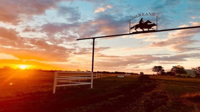 Murranji Station, Northern Territory cattle property listed