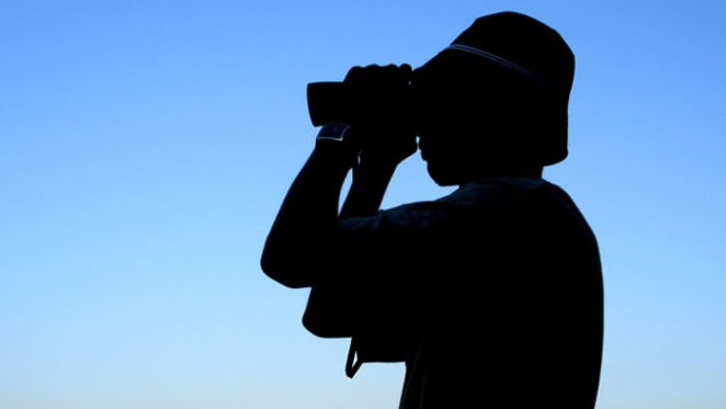 Finding workers and money our main worries: Glenn Stevens