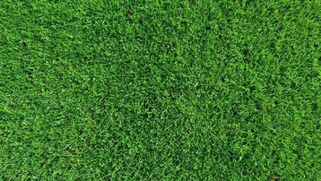 Do you think developers should offer a rebate for landscaping?