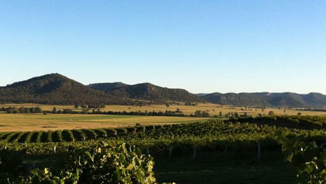 Hunter Valley winery up for sale