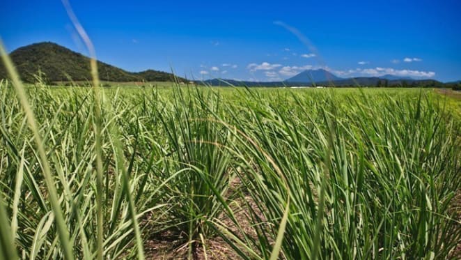 Regional Australia is calling the shots now more than ever: Andrew Beer