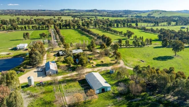 District record achieved for Kyeamba Valley grazing property