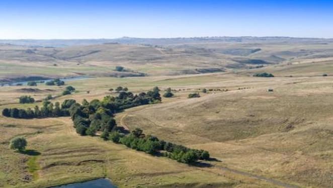 Nimmitabel's Rockybah grazing property sold after online auction
