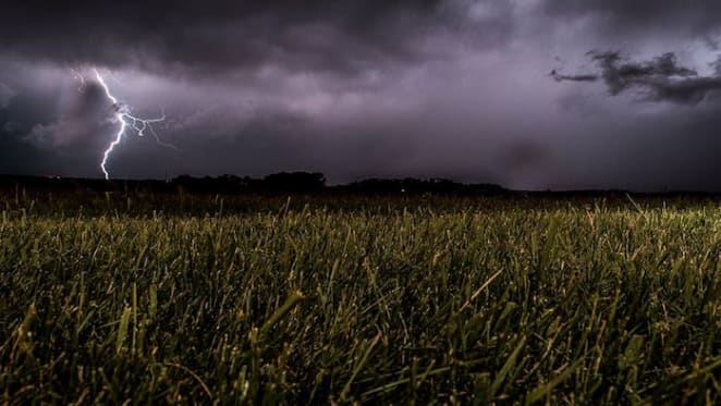 Lismore expected to see lower production levels in 2020: HTW rural