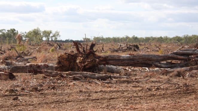 Australia is a global top-10 deforester – and Queensland is leading the way