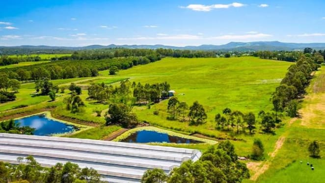 Queensland rural sales volume falls by 8%: Harcourts