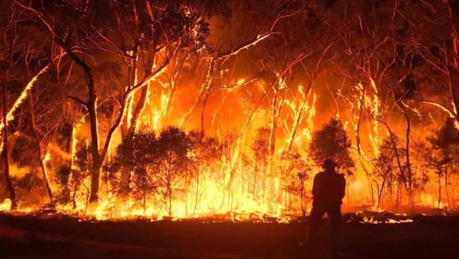 NSW land values dropped by up to 33 per cent after bushfires