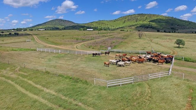 Rural Fund Management buy Rockhampton farm Comanche