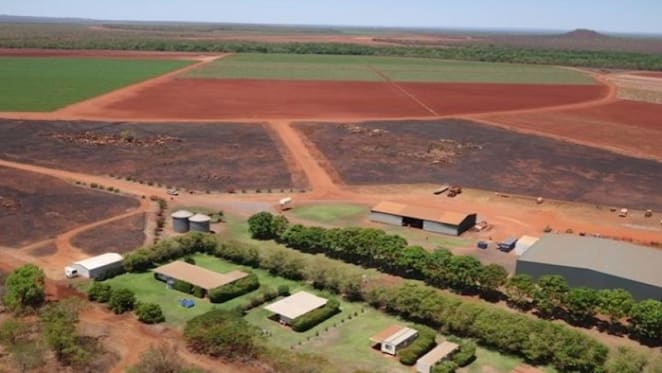 NT rural market heats up with $61 million of sales: HTW