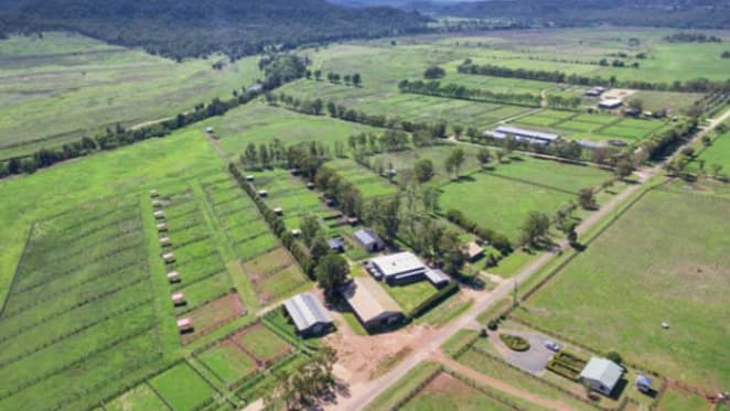 Sandy Hollow, former centrepiece of Nathan Tinkler's Hunter Valley horse breeding empire sold