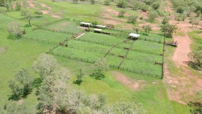 Gina Rinehart buys NT cattle station Aroona