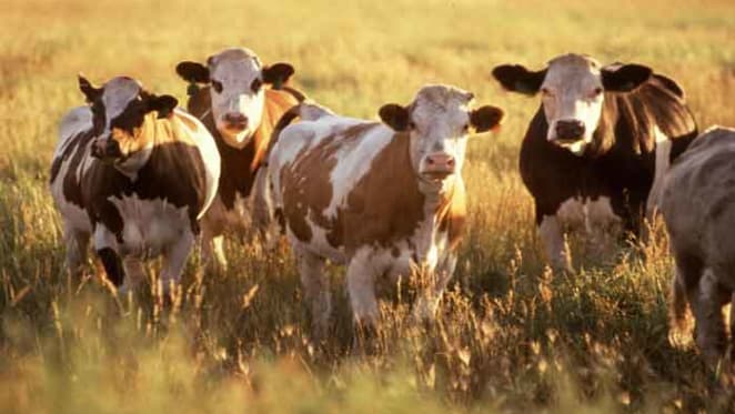 Australia's Archipelago Beef Trust buys two farms for $60 million from Indonesia firm: AFR