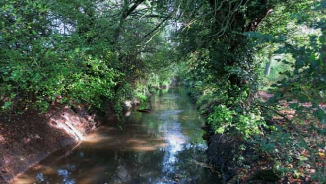 More than just drains: recreating living streams through the suburbs