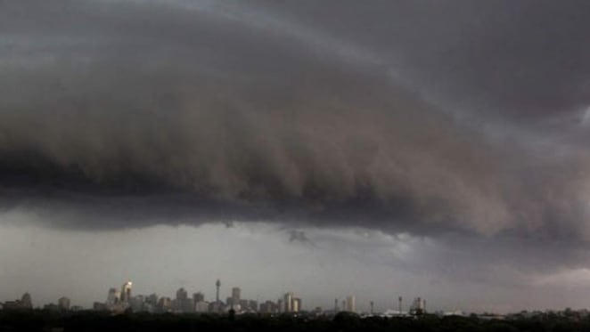 Tradies busy after weekend storms