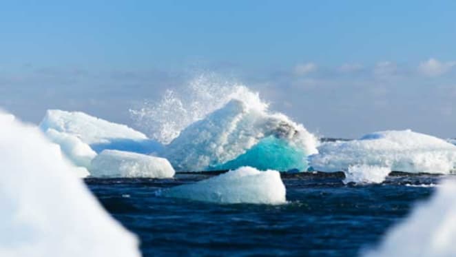The winners and losers of Antarctica’s great thaw