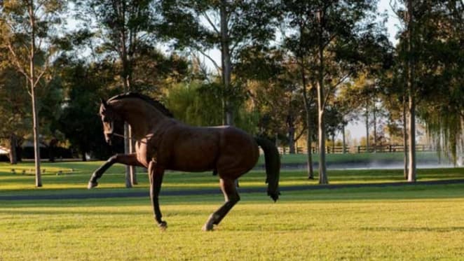 Horse breeder John Messara expands Arrowfield Stud