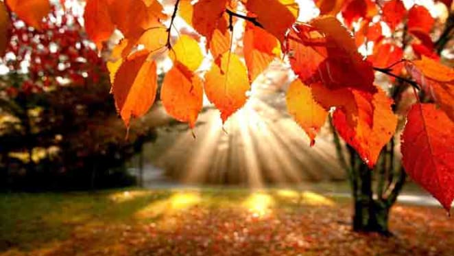 End of financial year to drive autumn property markets: Angus Raine