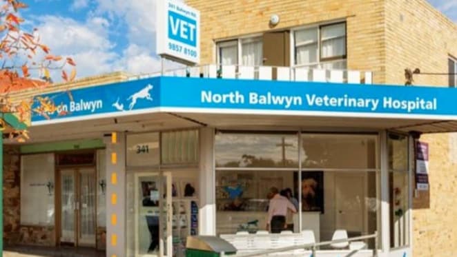 Demand drives CBD-like yields in North Balwyn