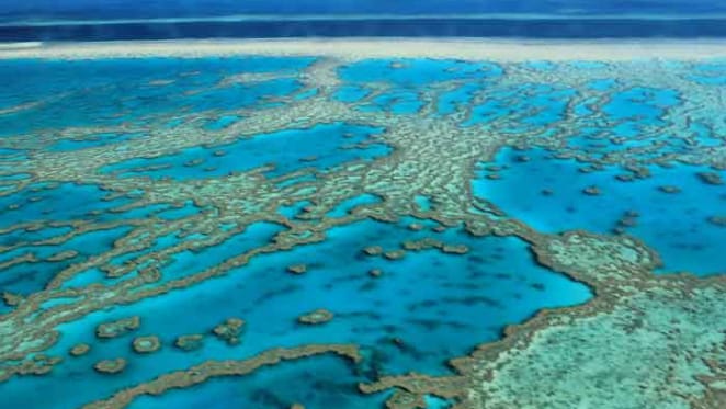 Cleaning up runoff onto the Great Barrier Reef: how art and science are inspiring farmers to help