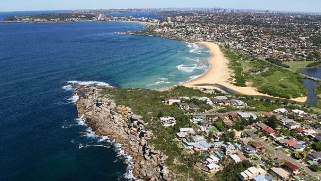 Windy Dropdown, Curl Curl North sells