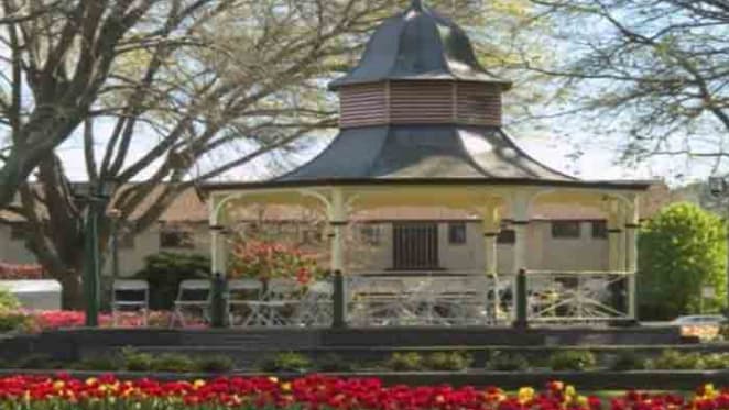 The Stayers perform, even when the market is in decline: Terry Ryder