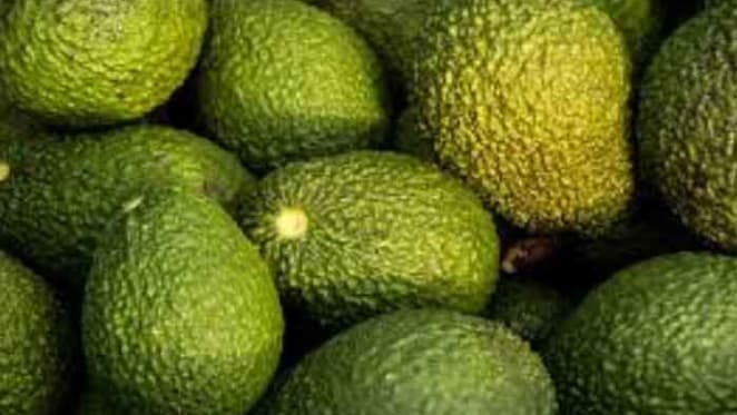 Owner of WA avocado farm annoyed by Chinese investor's premature announcement