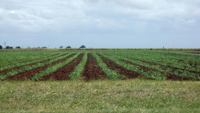Why yet another visa for farm work makes no sense: Stephen Howes