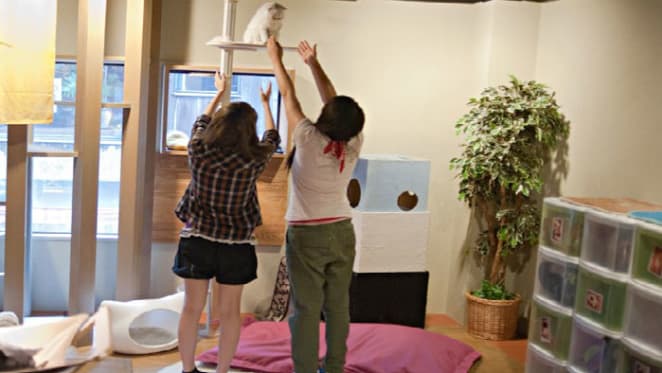 Landlords blind to the benefits of pets: Ray Ellis